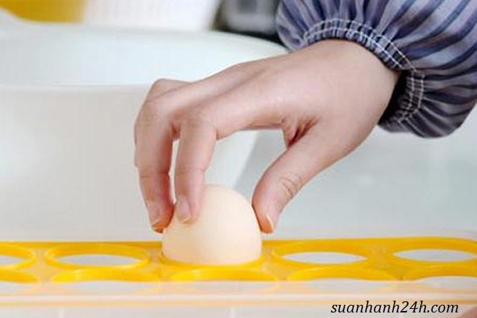 Đặt trứng vào khay chuyên dụng